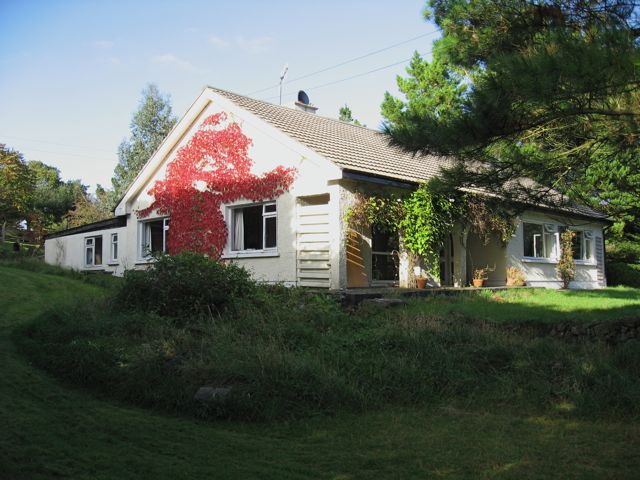 house last afternoon.jpg